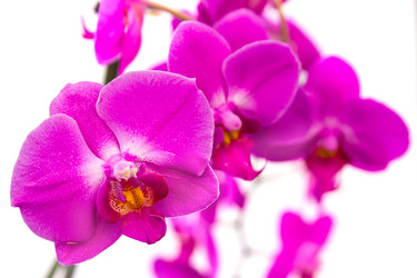 Similar image 7544048