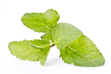 Similar image 7544049