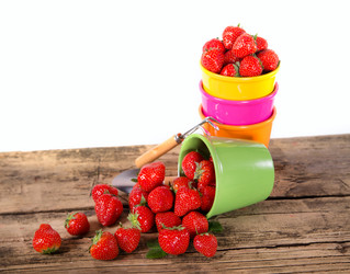 Similar image 7544051