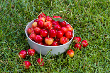 Similar image 7544059