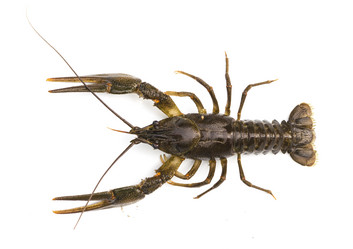 Similar image 7544062