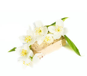 Similar image 7544063