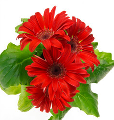 Similar image 7544077