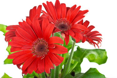 Similar image 7544078