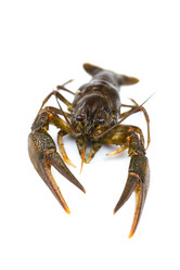 Similar image 7544080