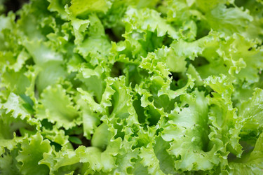 Similar image 7544106