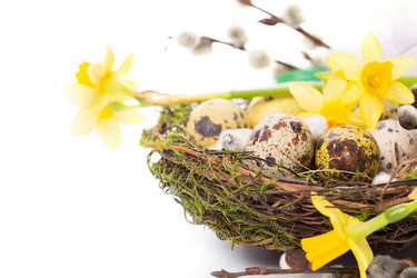 Similar image 7544136