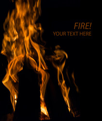 Similar image 7544162