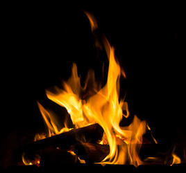 Similar image 7544184