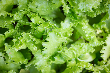 Similar image 7544185