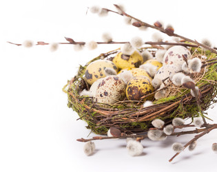 Similar image 7544187