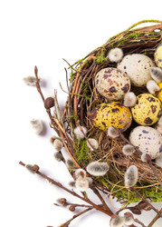 Similar image 7544188