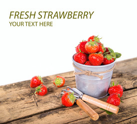 Similar image 7544196