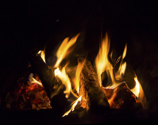 Similar image 7544291