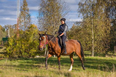 Similar image 7544303