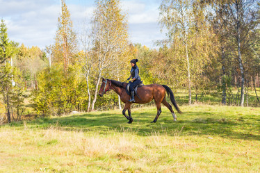 Similar image 7544436