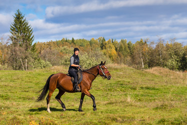 Similar image 7544438