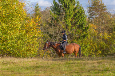 Similar image 7544442