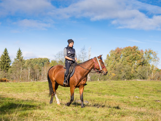 Similar image 7544601