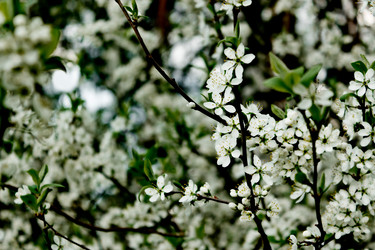 Similar image 7544845