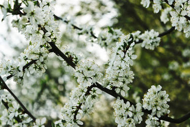 Similar image 7544846