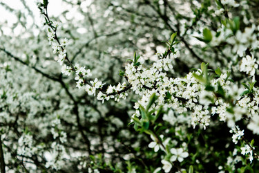 Similar image 7544868