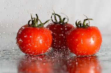 Similar image 7544870