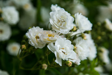 Similar image 7544925