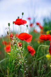 Similar image 7544926