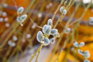 Similar image 7544930