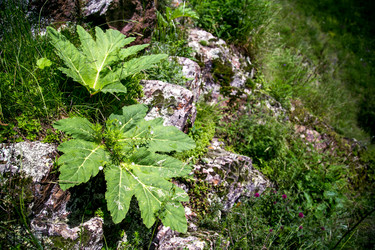 Similar image 7544933