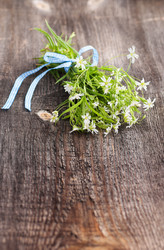 Similar image 7544954