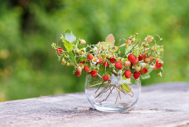 Similar image 7544959