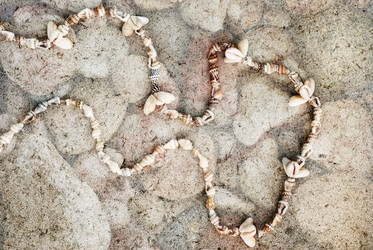 Similar image 7544965