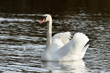 Similar image 7544987