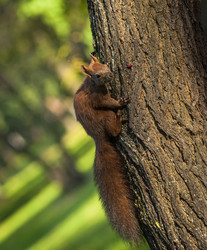 Similar image 7544990