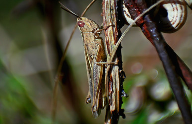 Similar image 7544991