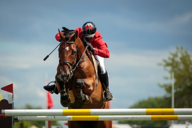 Similar image 7545009