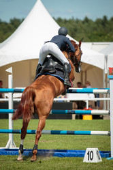 Similar image 7545011