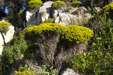 Similar image 7545192