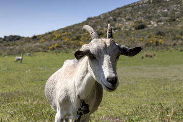 Similar image 7545193