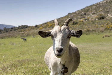 Similar image 7545195