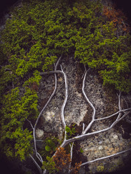 Similar image 7545262