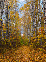 Similar image 7545277