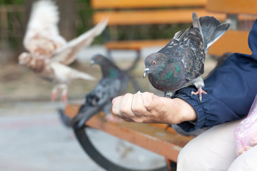 Similar image 7545321