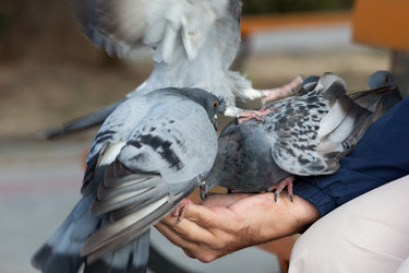 Similar image 7545322