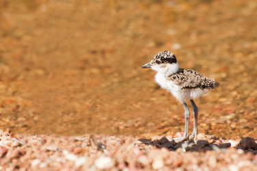 Similar image 7545365