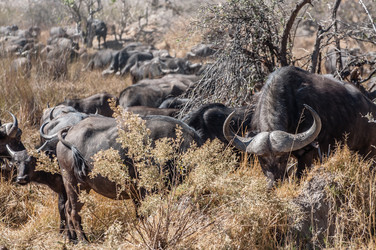 Similar image 7545366