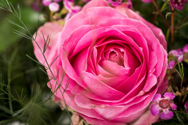 Similar image 7545368