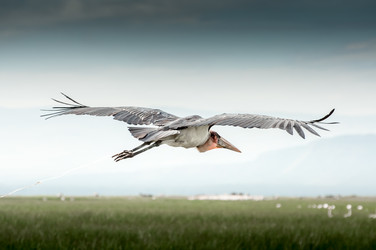 Similar image 7545373